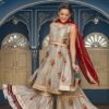 Rich Beige Golden & Red Combo Sharara Set with Gota Work - Image 5